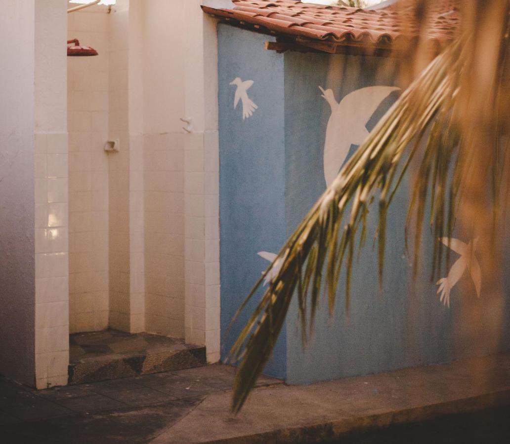 4 Quartos Ao Lado Da Praia Do Patacho Pôrto de Pedras 外观 照片